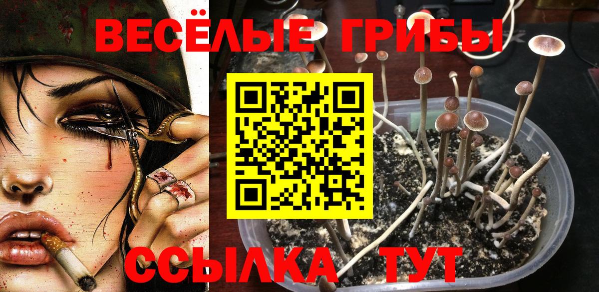 Псилоцибиновые грибы ЛСД Лысьва