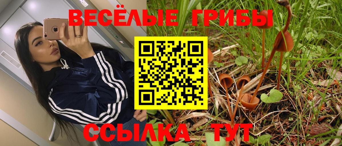 Лысьва  Галлюциногенные грибы Cubensis  Вход с VPN 